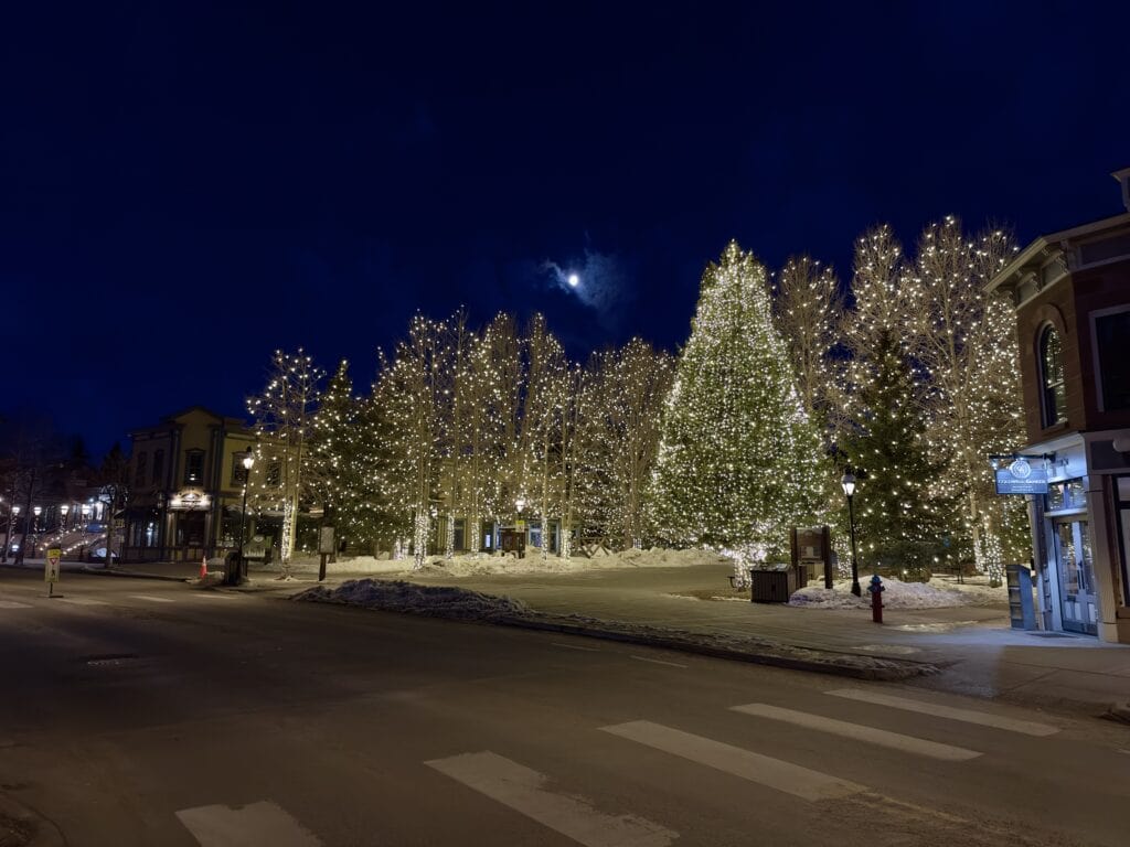 A dozen or so large pine trees in the snow, all decked out in white lights.