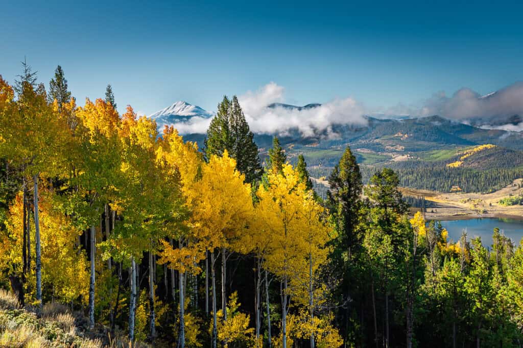 Stunningly vibrent trees with lake and clouds in the background.