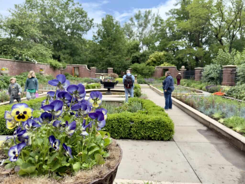 People wander in an English garden with blue and yellow flowers.