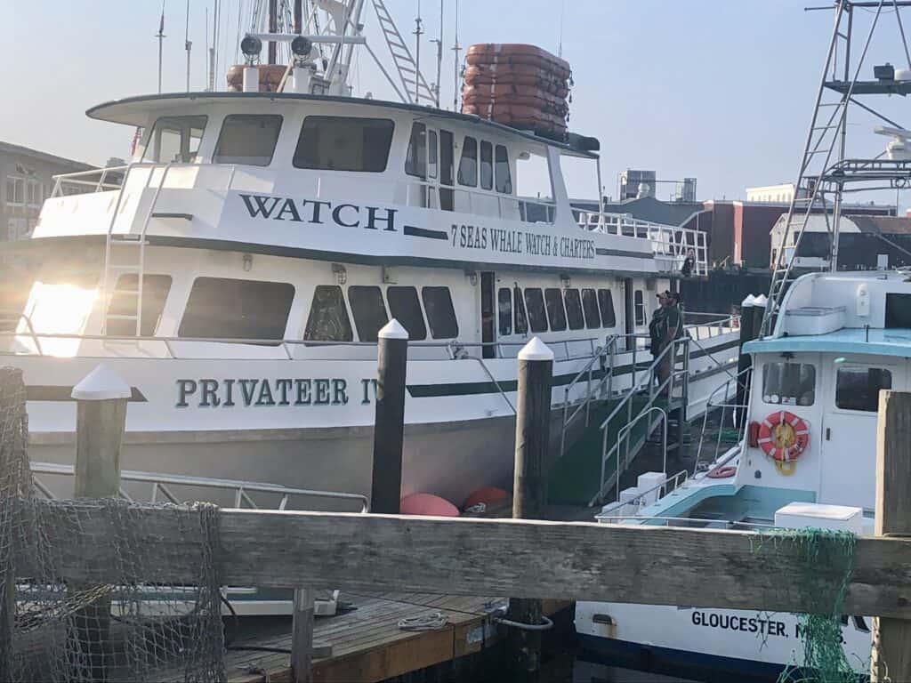 Whale watching ship with open top deck