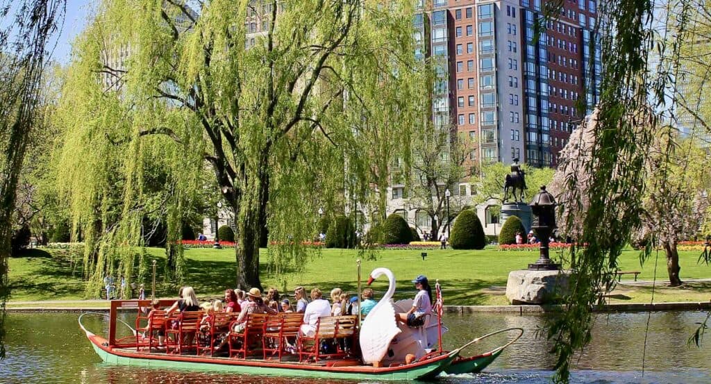 Swan Boat floating across the lagoon with a dozen or so people on board